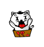 ニャン子とダンボール箱 2（個別スタンプ：34）