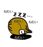 タマタマファミリー（個別スタンプ：5）