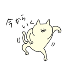 まちょねこ（個別スタンプ：25）