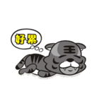Lucky God came- Fortuna greet New Year（個別スタンプ：27）