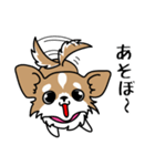 怠惰でカワイイ犬のいもちゃん（個別スタンプ：31）