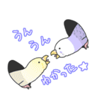 セキセイインコ（個別スタンプ：4）