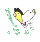 セキセイインコ（個別スタンプ：5）