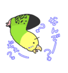 セキセイインコ（個別スタンプ：9）