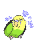 セキセイインコ（個別スタンプ：29）