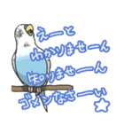 セキセイインコ（個別スタンプ：30）