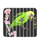 セキセイインコ（個別スタンプ：37）