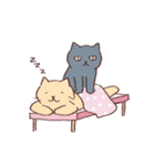 どこでも眠るねこ（個別スタンプ：6）