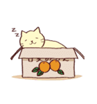 どこでも眠るねこ（個別スタンプ：27）