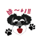 日常会話シュナウザー①（個別スタンプ：8）