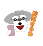 日常会話シュナウザー①（個別スタンプ：15）