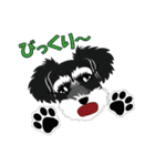 日常会話シュナウザー①（個別スタンプ：21）