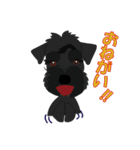 日常会話シュナウザー①（個別スタンプ：25）