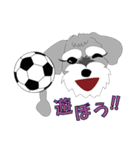 日常会話シュナウザー①（個別スタンプ：30）