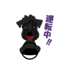 日常会話シュナウザー①（個別スタンプ：38）