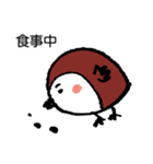 スズメのまめちゃん（個別スタンプ：31）