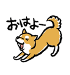 柴犬スタンプ4～赤柴～実用編（個別スタンプ：4）