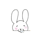アニマル 壁からこそっ（個別スタンプ：8）