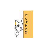 アニマル 壁からこそっ（個別スタンプ：11）
