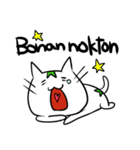 【人工】エスペラント猫ちゃん【言語】（個別スタンプ：4）
