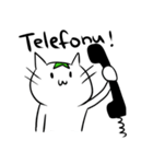 【人工】エスペラント猫ちゃん【言語】（個別スタンプ：30）