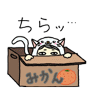 ニャン娘日和。（個別スタンプ：24）