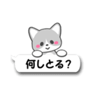 岐阜弁ふきだし猫（個別スタンプ：13）