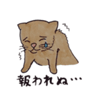 猫は幸せになりたい。（個別スタンプ：4）