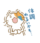 ノリノリなねこ チャミー（個別スタンプ：21）