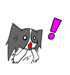 へたれパピヨン（個別スタンプ：3）