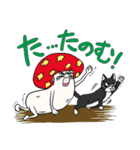 オタキノコ〜萌えって24時〜（個別スタンプ：13）