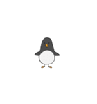 Pikpin the penguin（個別スタンプ：1）