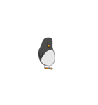 Pikpin the penguin（個別スタンプ：2）