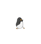 Pikpin the penguin（個別スタンプ：11）