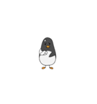 Pikpin the penguin（個別スタンプ：20）