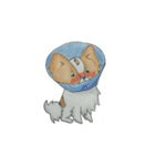 パピヨン♡（個別スタンプ：2）