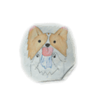 パピヨン♡（個別スタンプ：3）