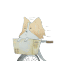 パピヨン♡（個別スタンプ：34）