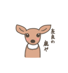 奈良の鹿さん（個別スタンプ：1）