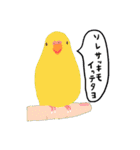 40羽のとりさんたち（個別スタンプ：29）