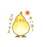 インコの日常（個別スタンプ：4）