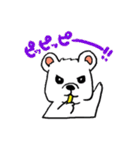 しろいぬしろ2（個別スタンプ：24）