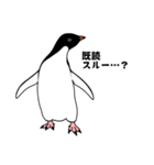 ペンギン！（個別スタンプ：5）