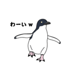 ペンギン！（個別スタンプ：24）