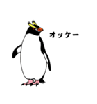 ペンギン！（個別スタンプ：26）