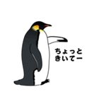 ペンギン！（個別スタンプ：28）