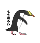 ペンギン！（個別スタンプ：35）