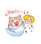 たおるネコ（個別スタンプ：38）