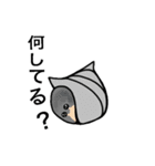 あにまるDEいこう（個別スタンプ：12）