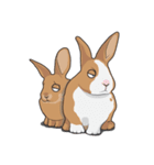 Nene Family (ENG)（個別スタンプ：18）